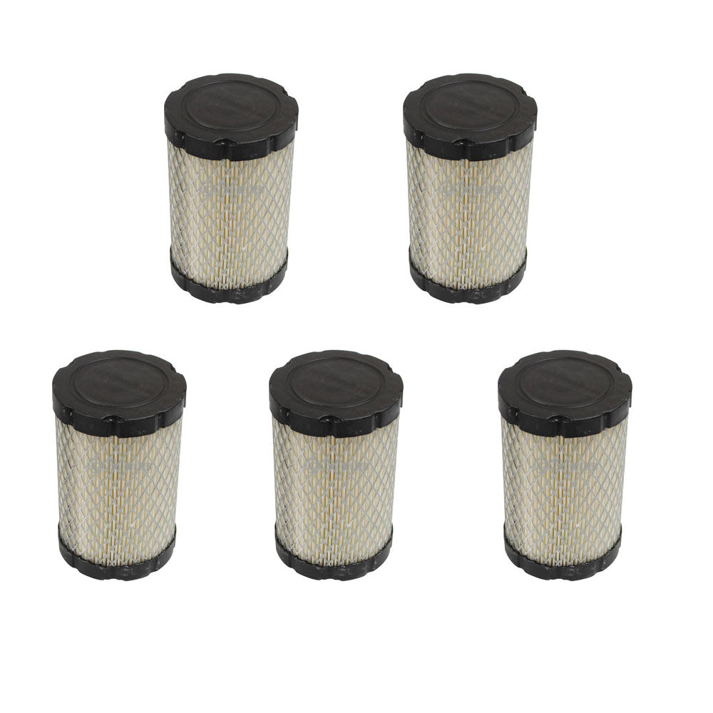Qty 5: Air Filter
 Fits Bolens Replaces 4243