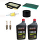 Engine Tune Up Kit Fits John Deere LA135 LA145 Riding Mower Replaces LG263