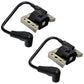 34443A Two 2 Ignition Coil Solid State Modules For Lawn Boy 34443B 34443C 34443D