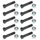 226228 Ten Shearbolt & Nut