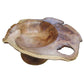OTK20-0997 Cherry Burl Mushroom Dish