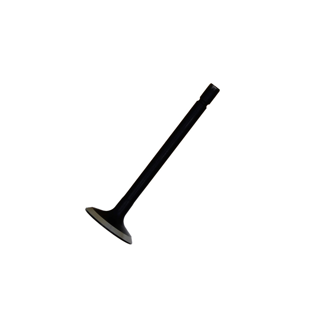 Exhaust Valve Fits Case/International Harvester Replaces 120176360