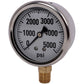 5167068 5000 PSI LIQUID FILLED / STAINLESS GAUGE Fits Universal Products