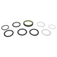 PV3002 Seal Kit Fits Caterpillar