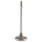 Intake Valve Fits Agco Replaces 3802005