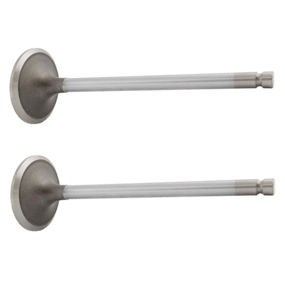 Qty 2: Intake Valve Fits Komatsu Replaces 6736-41-4110