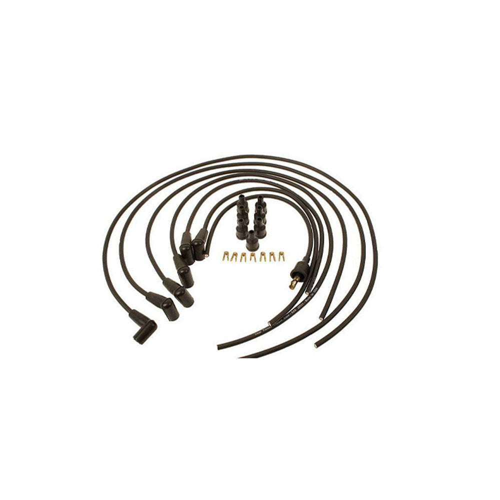 Complete Tune Up Kit for 6 Cyl Fits Massey Ferguson Replaces 1024916M1