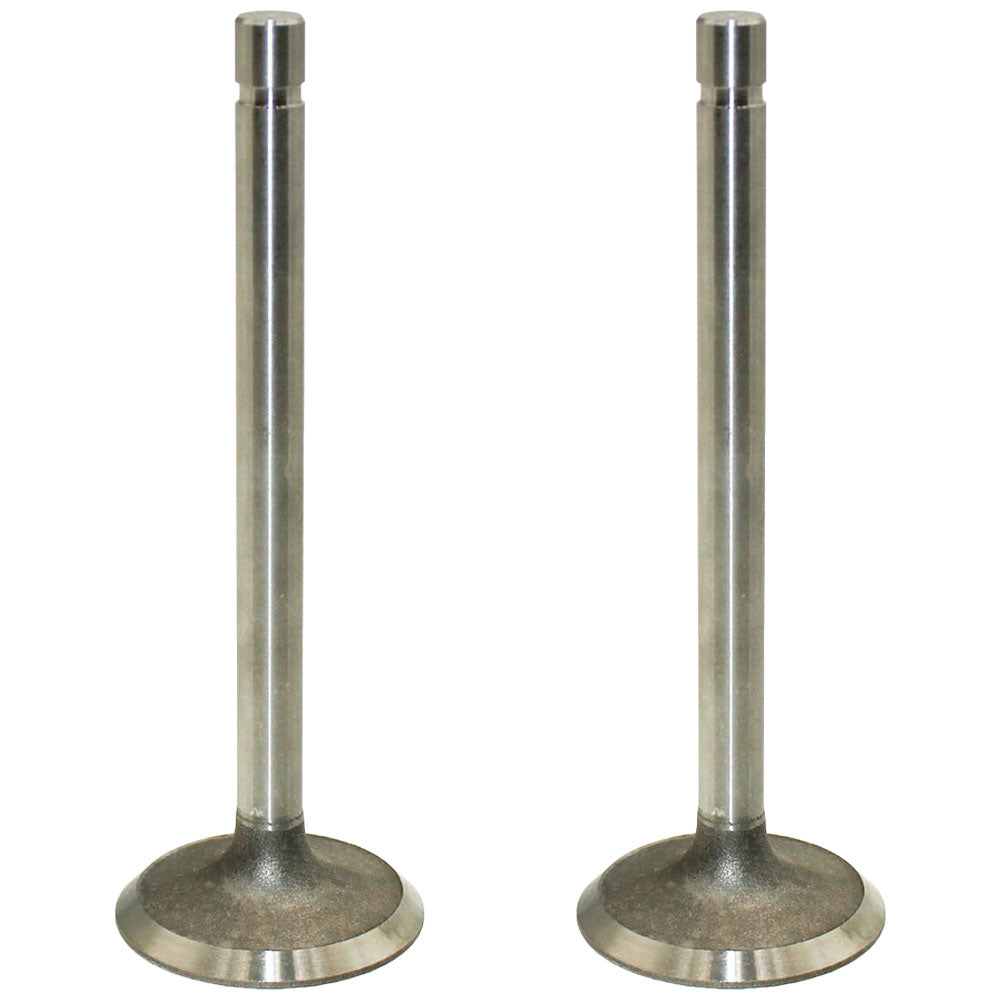 Two Standard Intake Valves R79623 Fits John Deere 3029D 4.202 4.219 4.239D 6.329