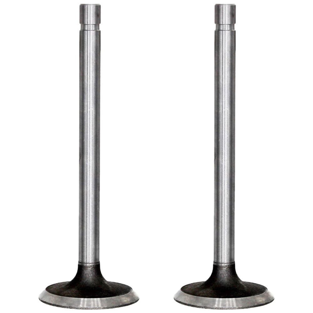 Two Standard Intake Valves R79623 Fits John Deere 3029D 4.202 4.219 4.239D 6.329