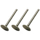 Qty 3: Standard Intake Valve  Fits John Deere Replaces R52251