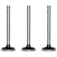 (3) R79623 Intake Valves Fits John Deere 455G 550G 300B 350V 450 570B 440 482C
