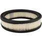 Air Filter Fits MTD Replaces 117210-C1