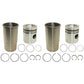 RE23173 Two Piston Liner Kits For John Deere Tractor 3010 3020 4010 4020 500 500