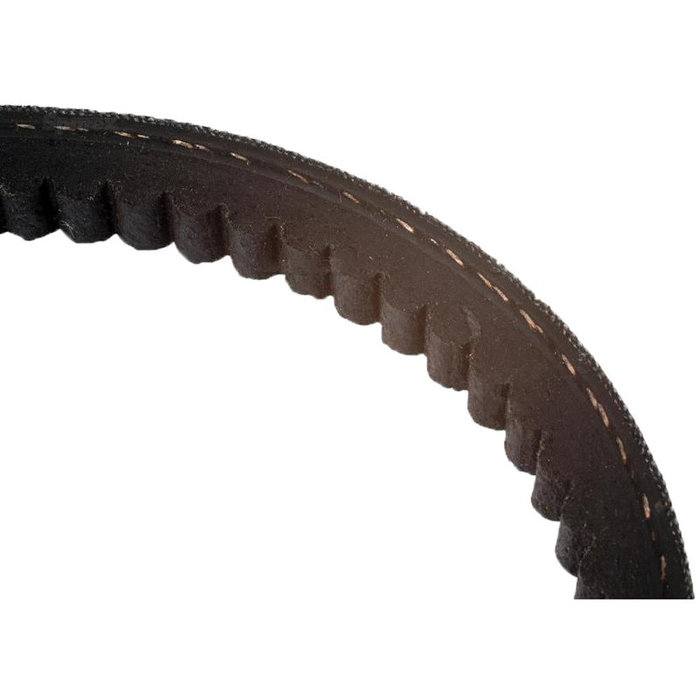 S.18624 Raw Edge Moulded Cogged Belt - Belt No. AVX10x1550 Fits Same