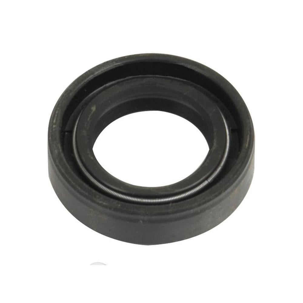 S.3768 Seal, Outer, 1884308M1 Fits Massey Ferguson