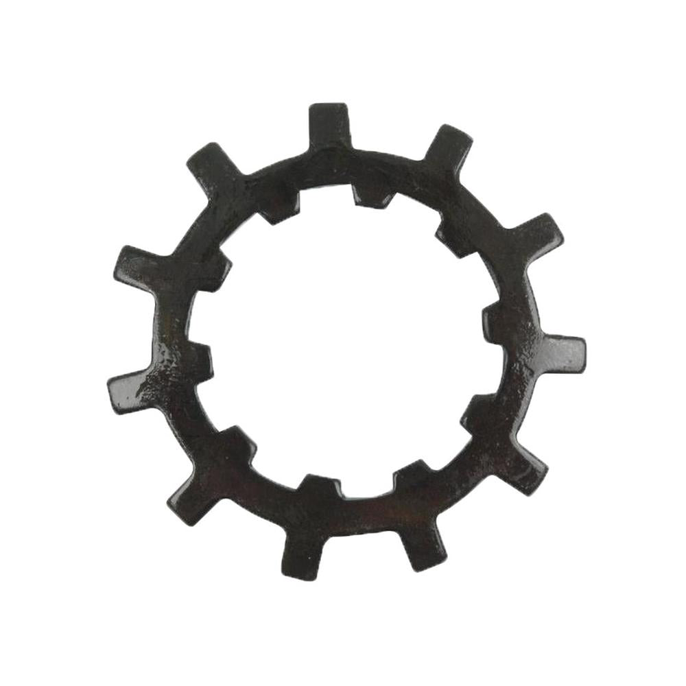 S.42826 Pinion Nut Washer - Fits Massey Ferguson
