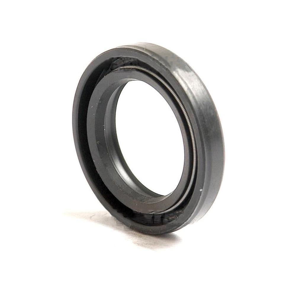 S.50179 Double Lip Seal, 20 x 30 x 55mm