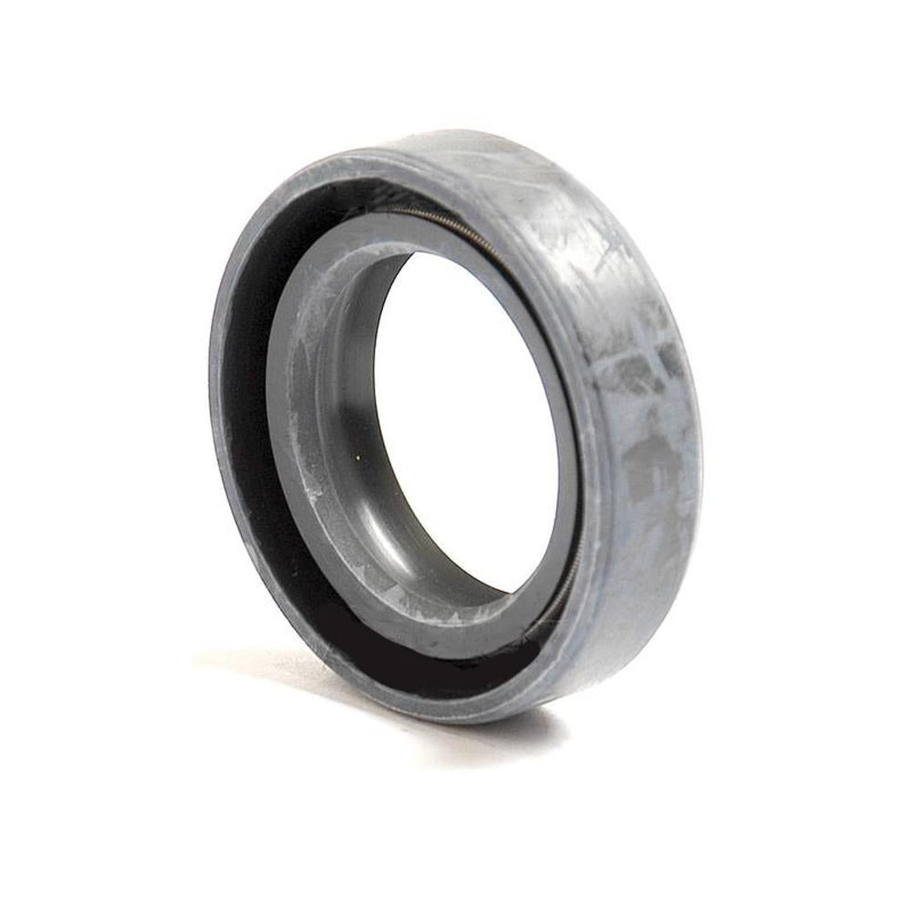 S.50206 Double Lip Seal, 25 x 38 x 10mm
