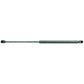 Gas Strut Fits Renault Replaces 6005012549