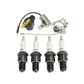 S.53181 TUNE-UP KIT, COMPLETE, COMPACT Fits Satoh