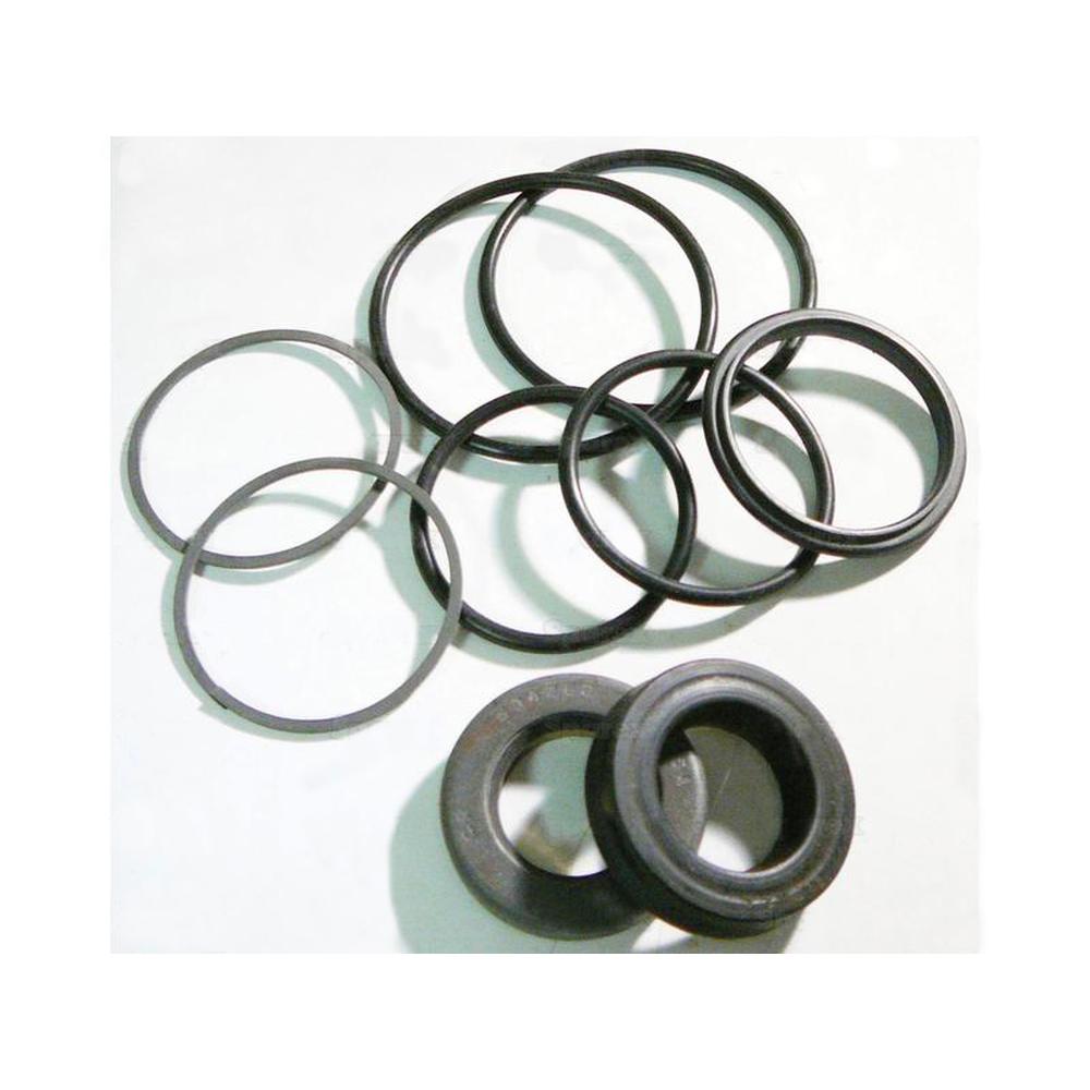 S.61899 Power Steering Cylinder Seal Kit Fits Ford/New Holland