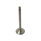S.62350 Intake Valve Fits Fiat