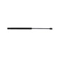 A-RE170092-AI Gas Strut, Rear Window