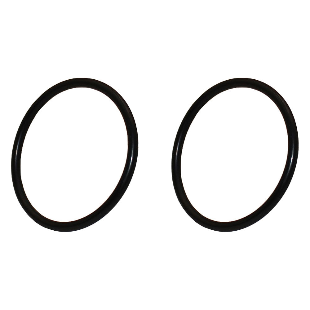 Qty. 2: O-Ring
 Fits Ford/New Holland Replaces 81669C1