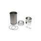 WN-A151995-PEX Piston Liner Kit Fits International/CaseIH 350 430 450 470 530